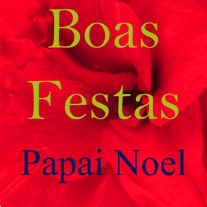 Boas festas