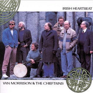 Star of the County Down