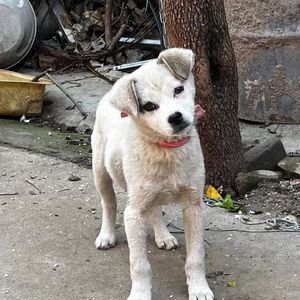 莫名其妙得小气鬼