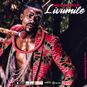 Livumile