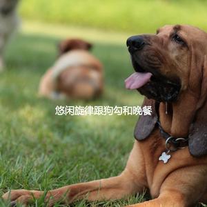 Background for Morning Things