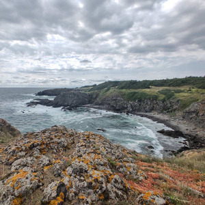 While Your Lips Are Still Red (Instrumental Version)