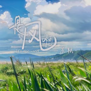 是风啊