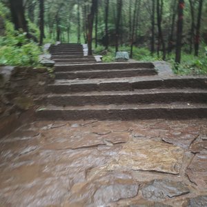 DjC7-Summer（DJ小呈 remix）