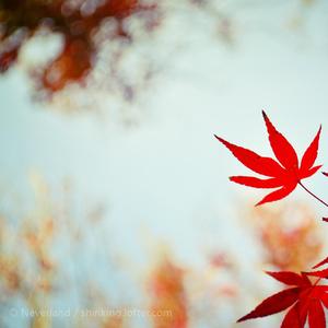 JAY-听见下雨的声音（二君June remix）