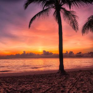 【Free】“日落飞车”-Pop Punk Type beat