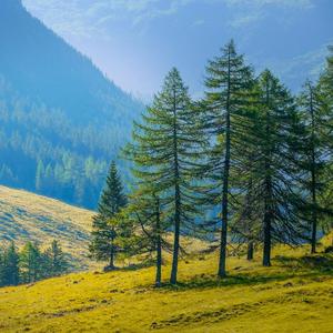 安静角落（经典钢琴曲）