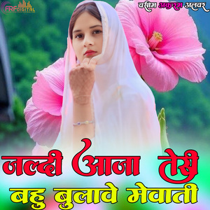 जल्दी आजा तेरी बहु बुलावे मेवाती