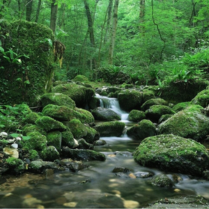 distant （远山）