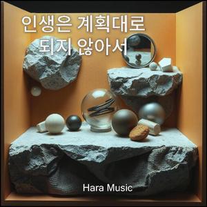 인생은 계획대로 되지 않아서