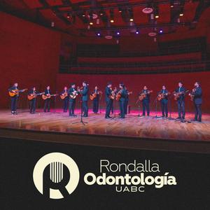 No me queda más (Bricia Vasquez)