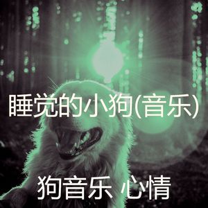 像梦一样-狗午睡