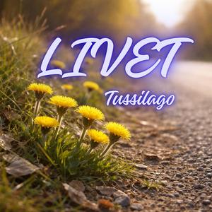 Tussilago