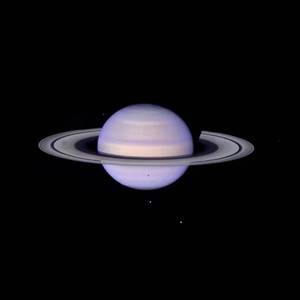 不是甜狗星球