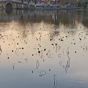 会向瑶台月下逢