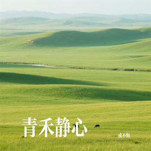 青禾静心