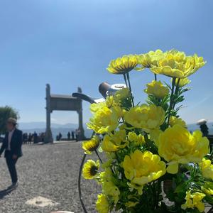 Dear myself (女声版)