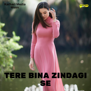 Tere Bina Zindagi Se