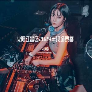 DJ小李-沈阳红番区迪吧2023年12月DJ小黑MC阿King现场（DJ小李 remix）