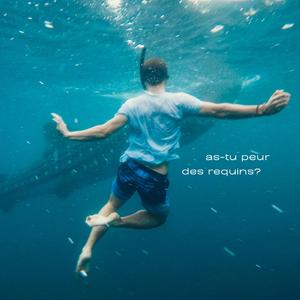 nous avons le temps de faire tout ça