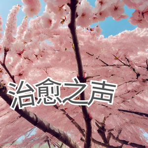 治愈之声