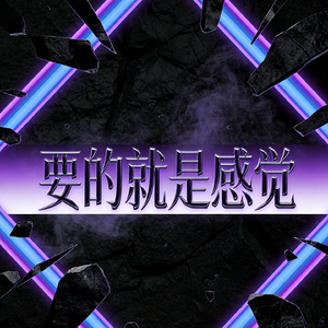 要的就是感觉