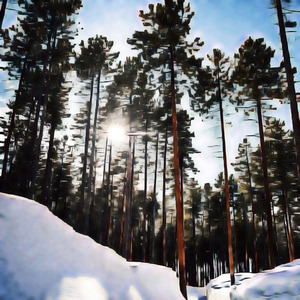 Catching Hippophile Knight