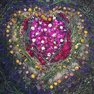 Sacred Love (feat. Entheo)