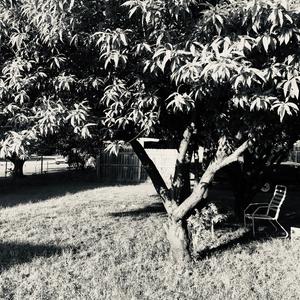 Quiet Nights (feat. Craig Kong)