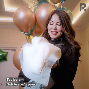 Toy bolam