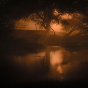 Кто Где Как Летает