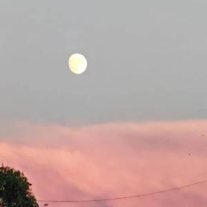 夜语（Prod by Syan Ru）