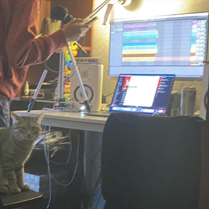 Не пойду на работу