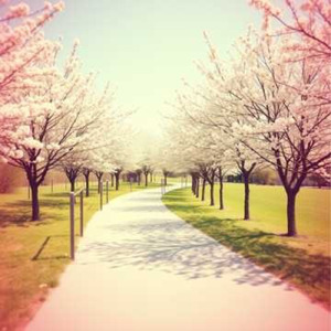 帰り道のペダル