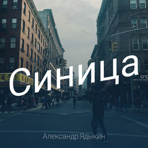 Синица