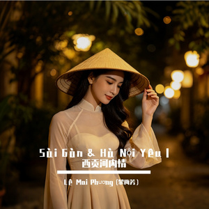Anh Đi Đi（你转身走）（Original Mix）