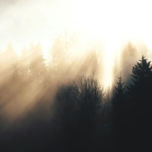 今生還能遇見你嗎