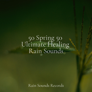 Showers & Drainpipes