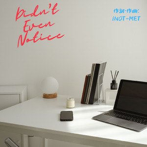 Didn’t Even Notice