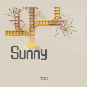 Sunny