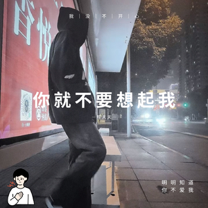 你就不要想起我《钢琴版》