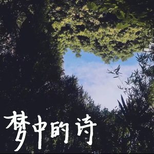 梦中的诗