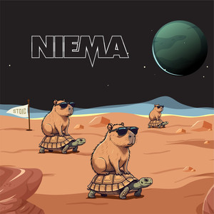 STOIC (Sped Up Version)