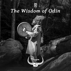 The Wisdom of Odin