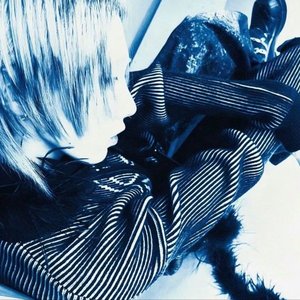 底牌屏蔽器植物僵尸.wav