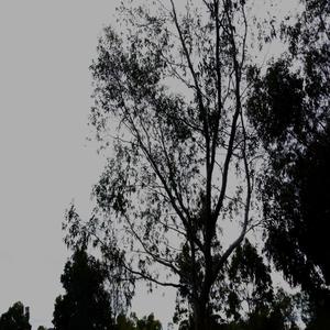 it was never supposed to happen.