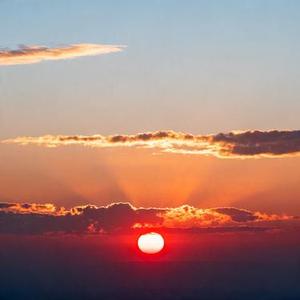 阳光下的下午茶