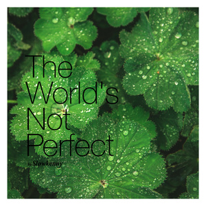 The World's Not Perfect