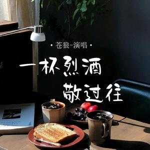 一杯烈酒敬过往