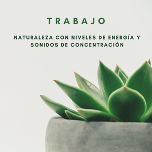 Vientos Para Trabajar